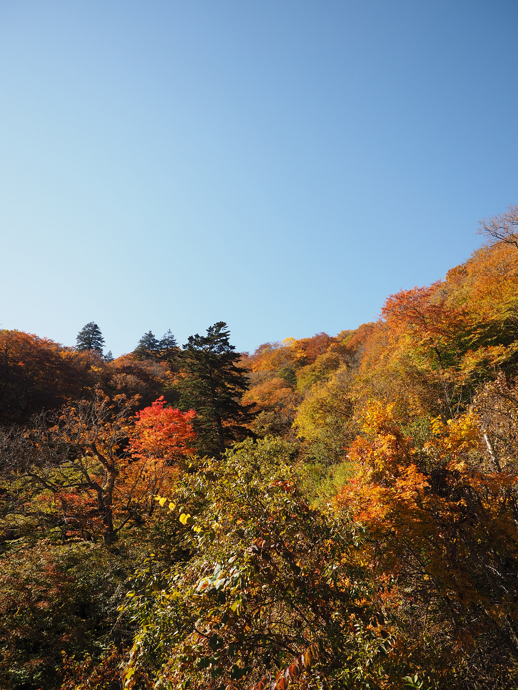 PA180231.jpg