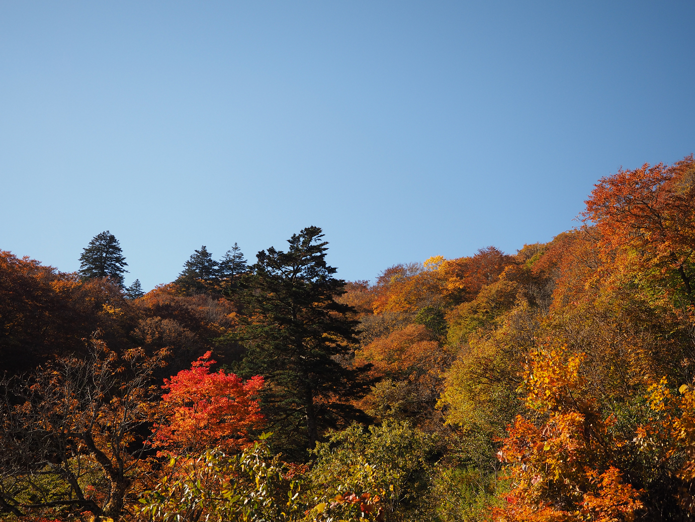 PA180243.jpg