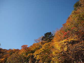 PA180248_thumb.png