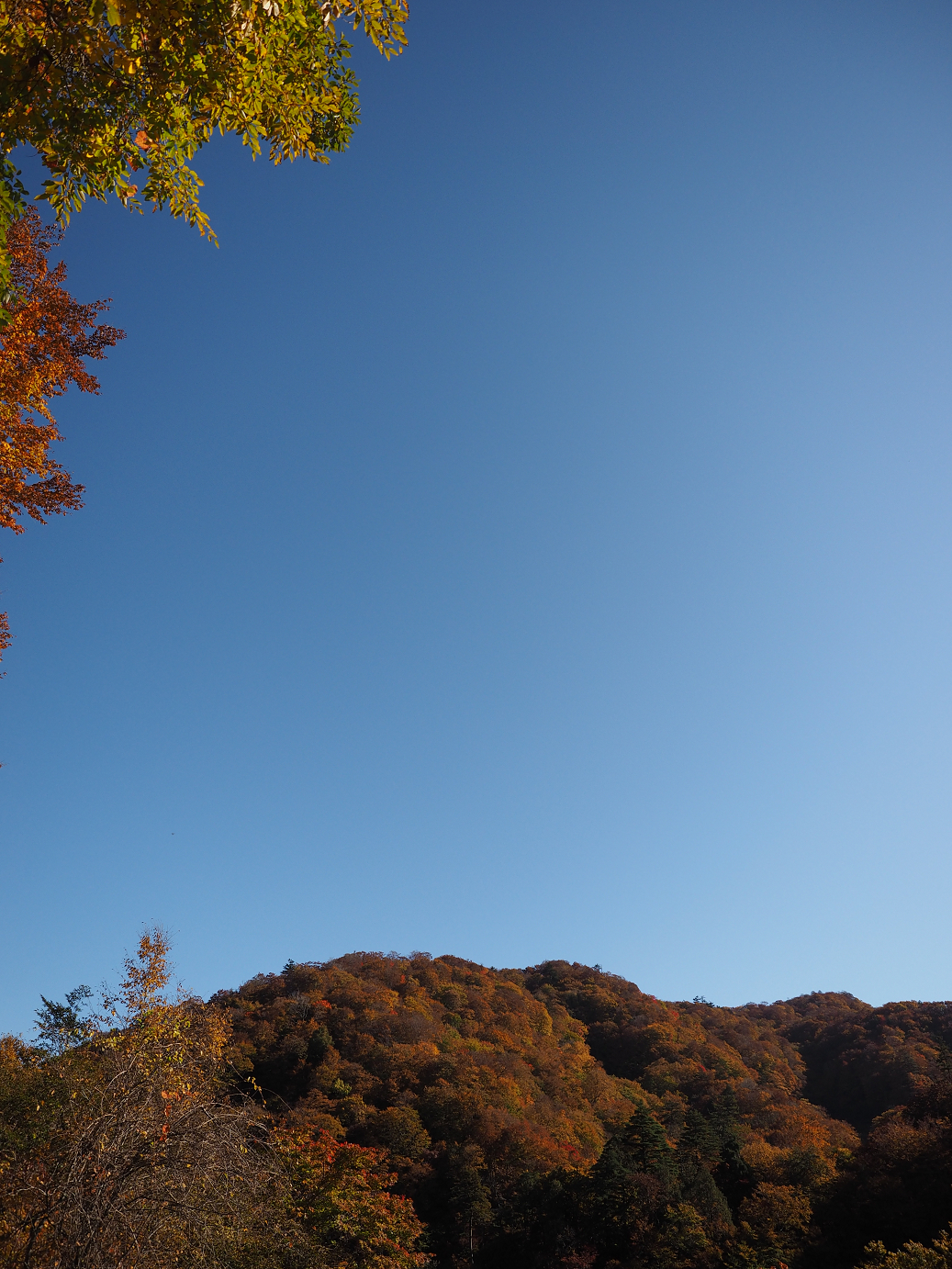 PA180253.jpg