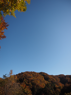 PA180253_thumb.png