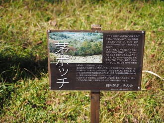 PA180260_thumb.png