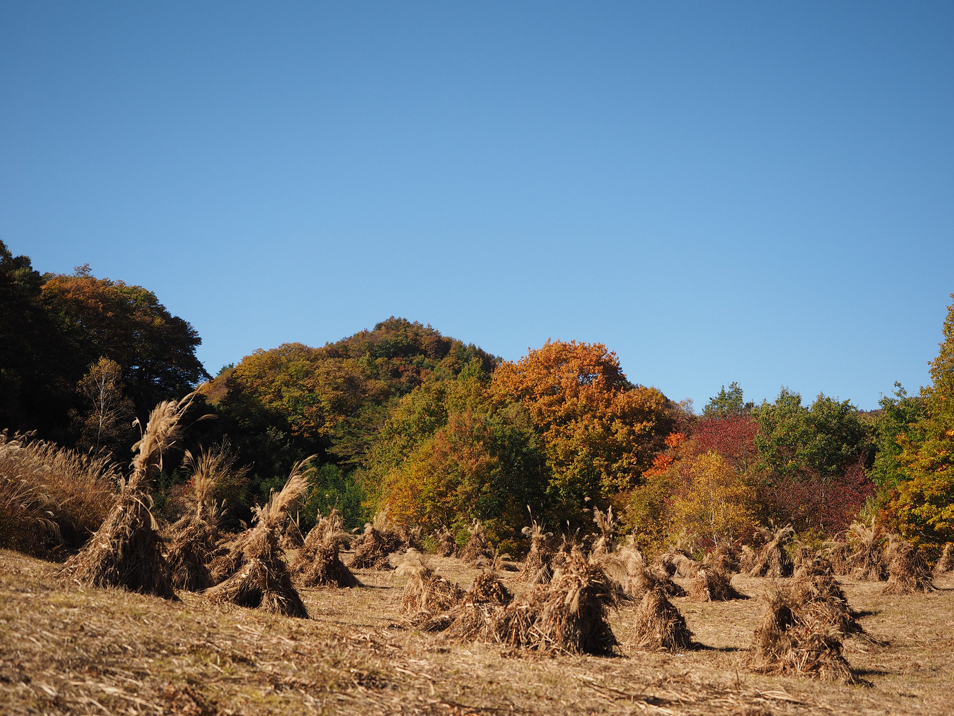 PA180270.jpg