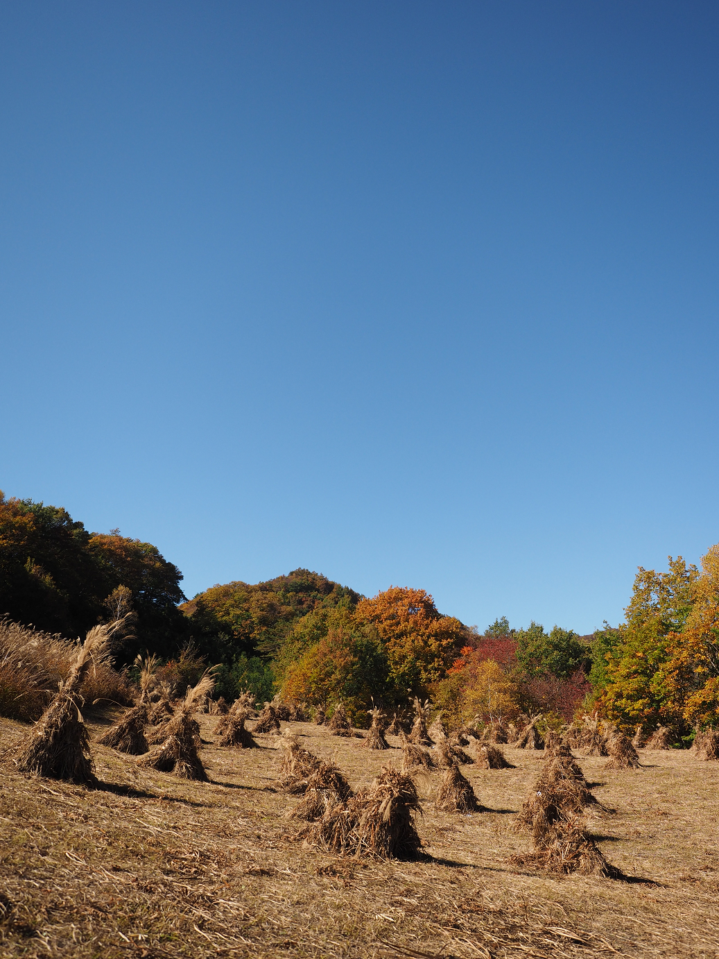 PA180278.jpg