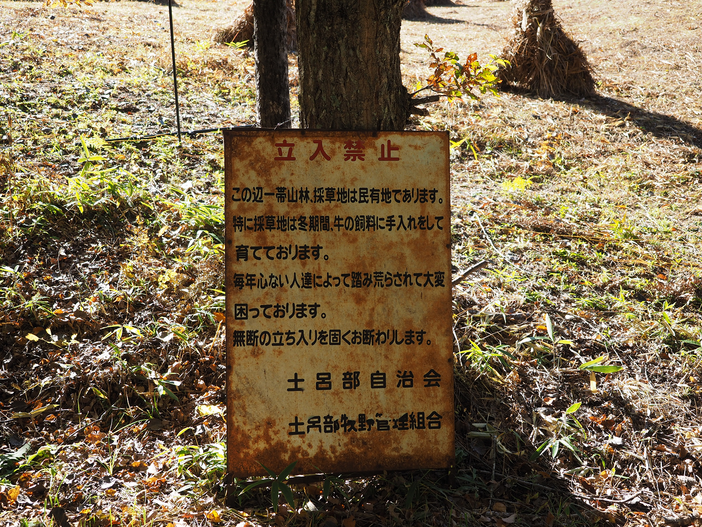 PA180279.jpg