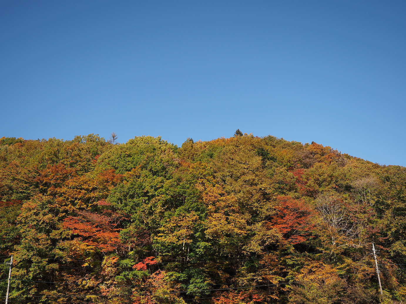 PA180280.jpg