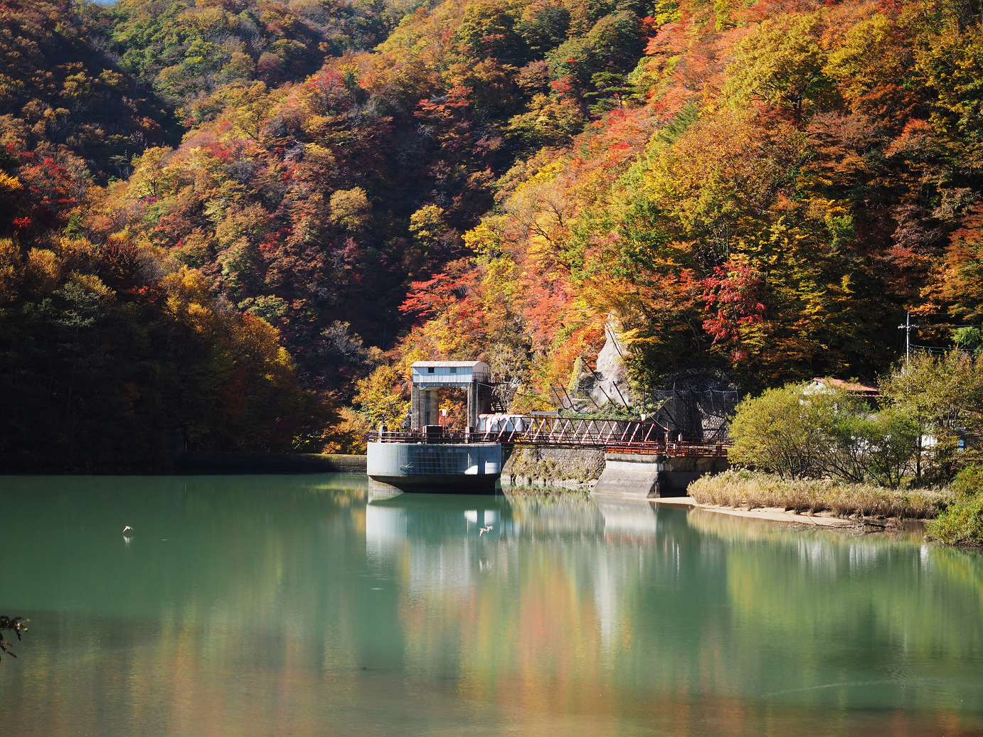 PA180282.jpg