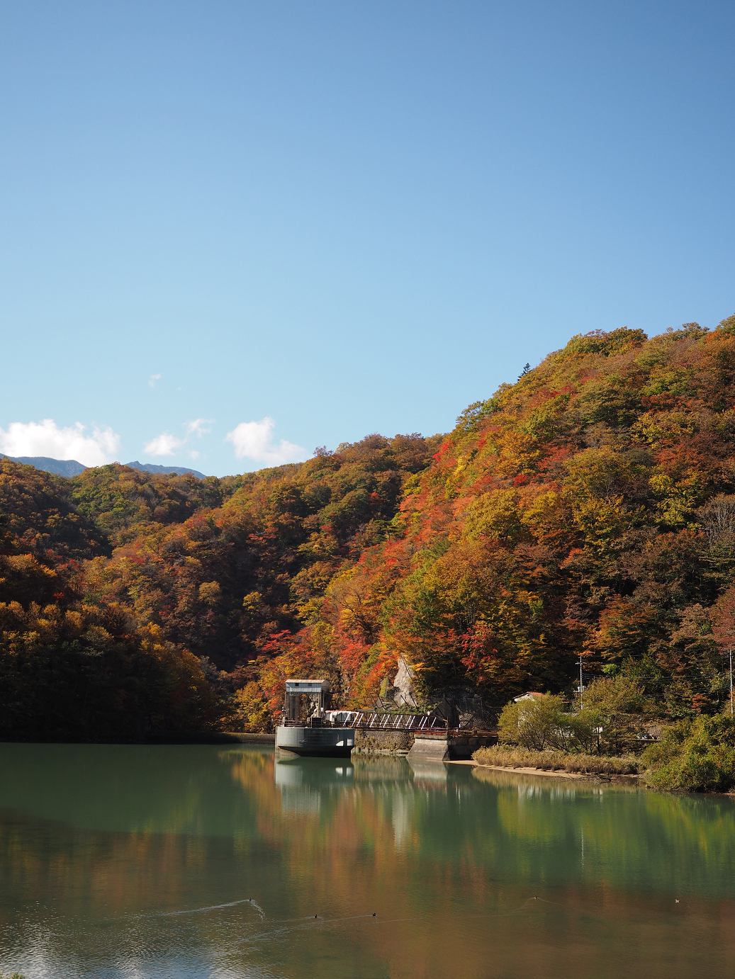 PA180287.jpg