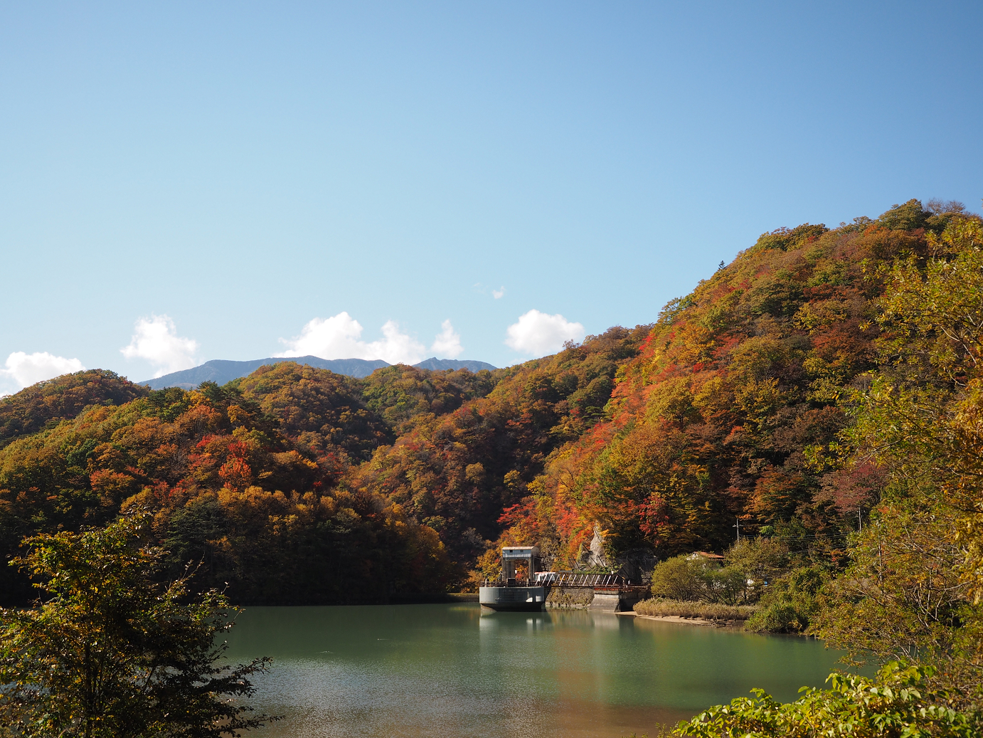 PA180299.jpg