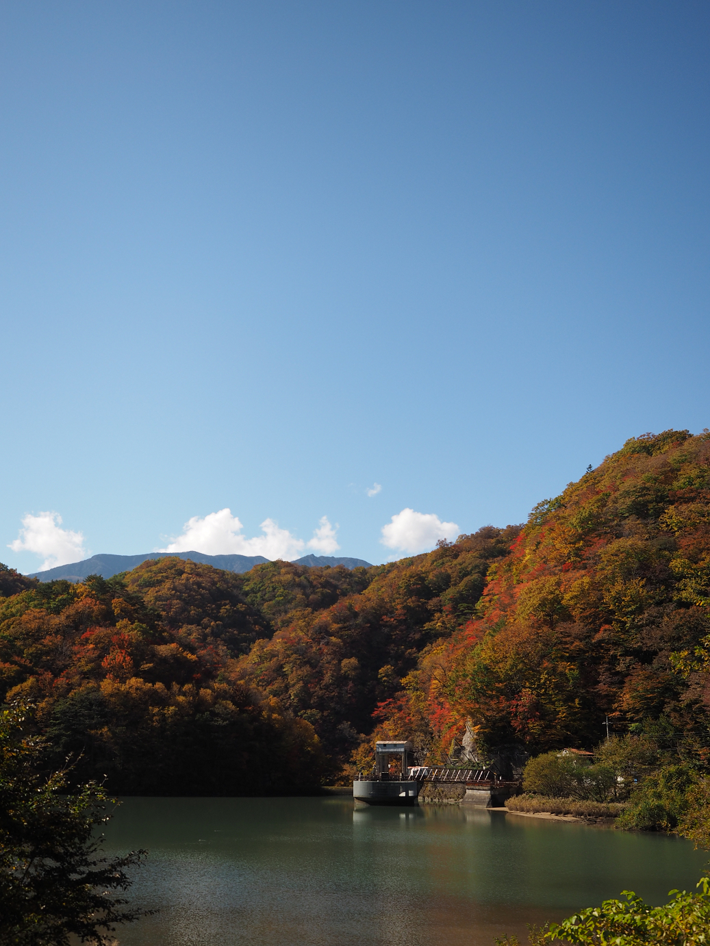 PA180300.jpg