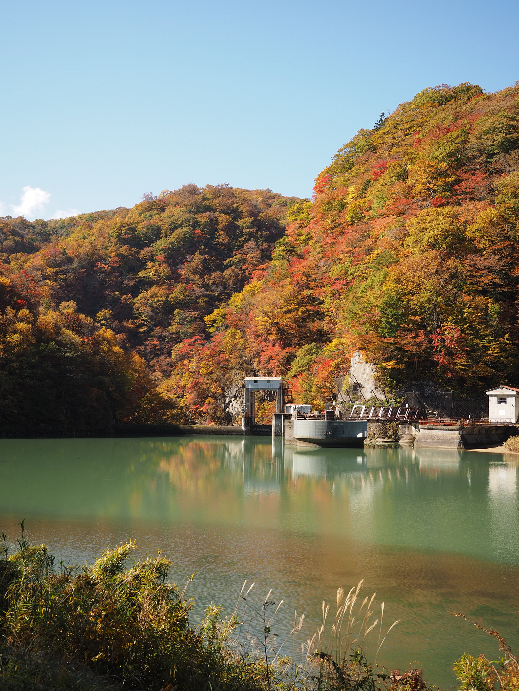 PA180307.jpg
