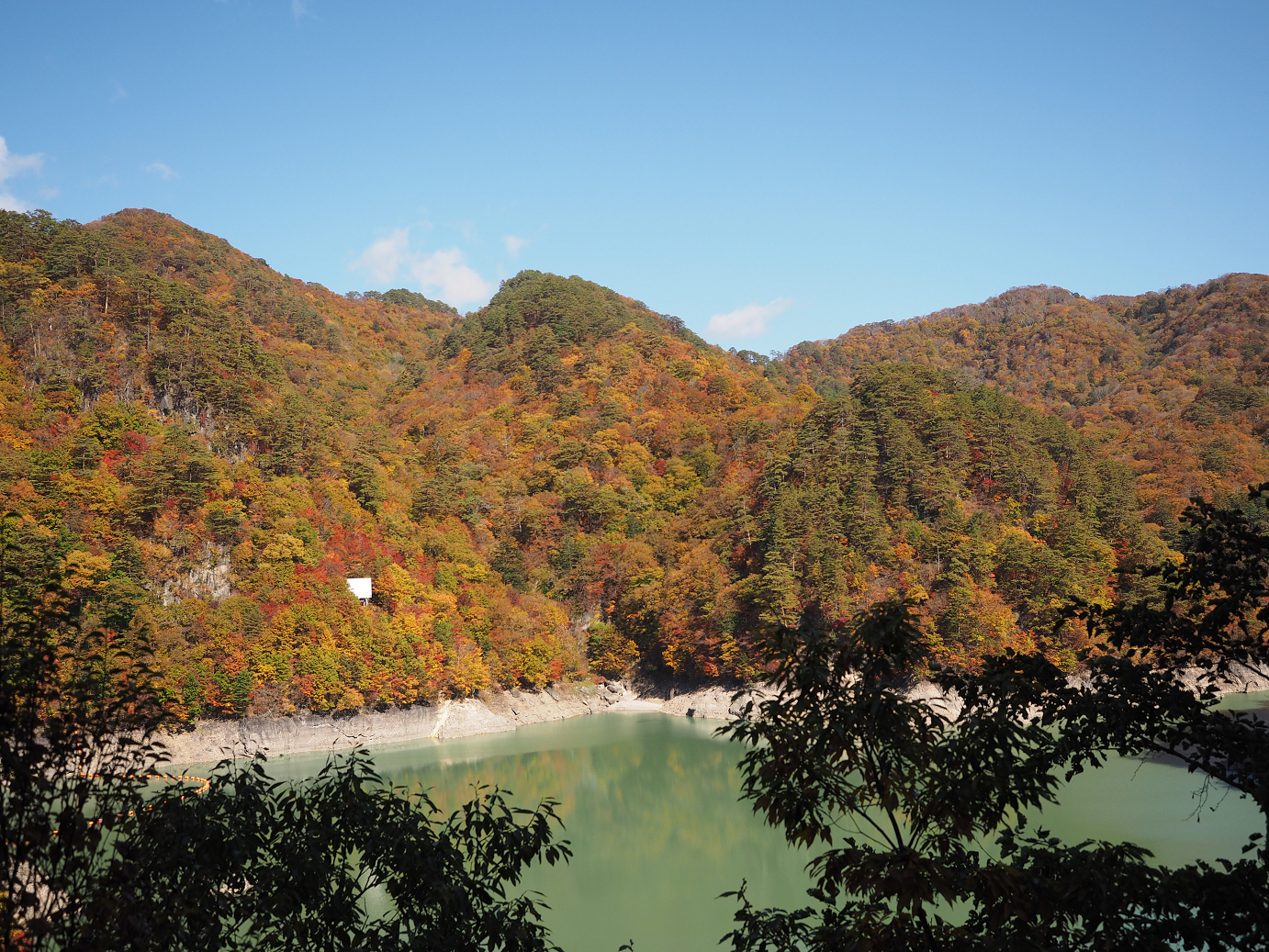 PA180355.jpg