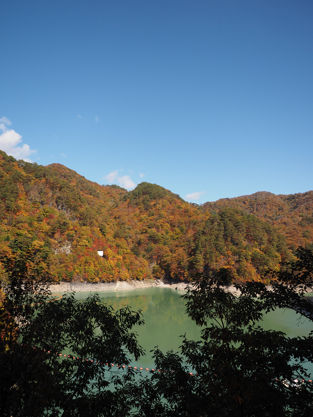 PA180357.jpg