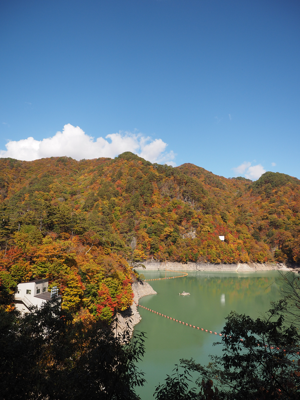 PA180361.jpg