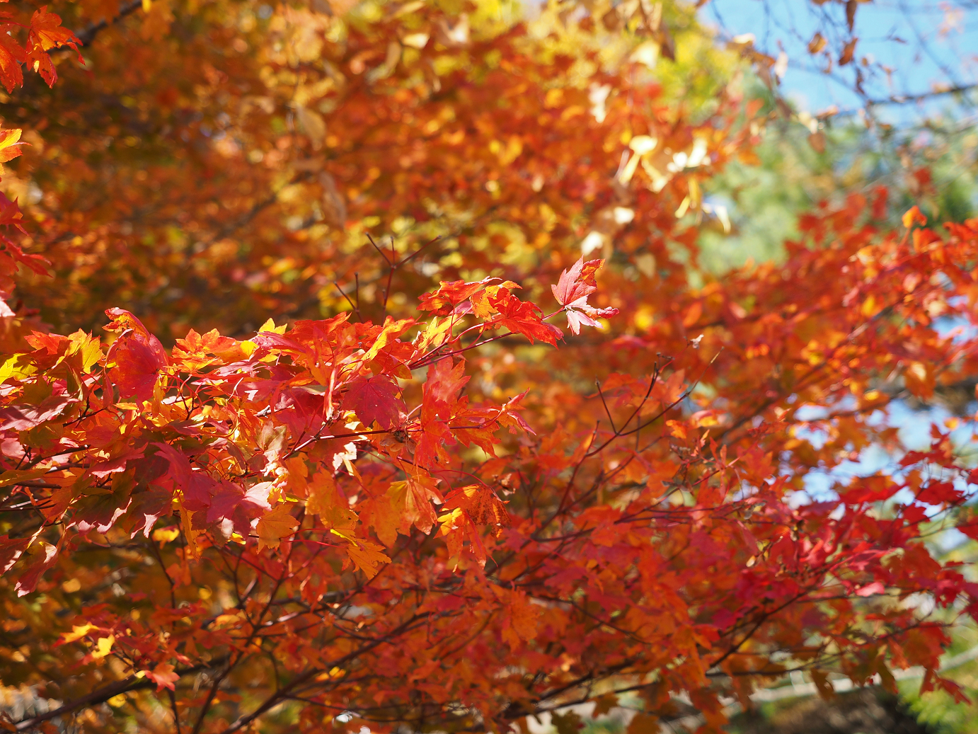 PA180370.jpg