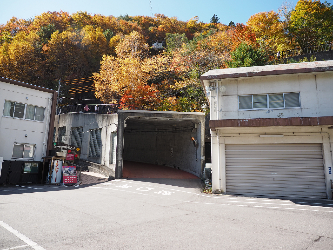 PA180386.jpg