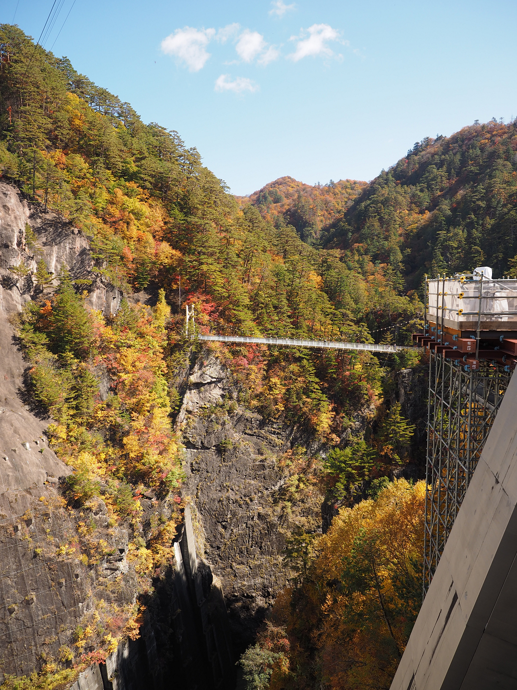 PA180389.jpg