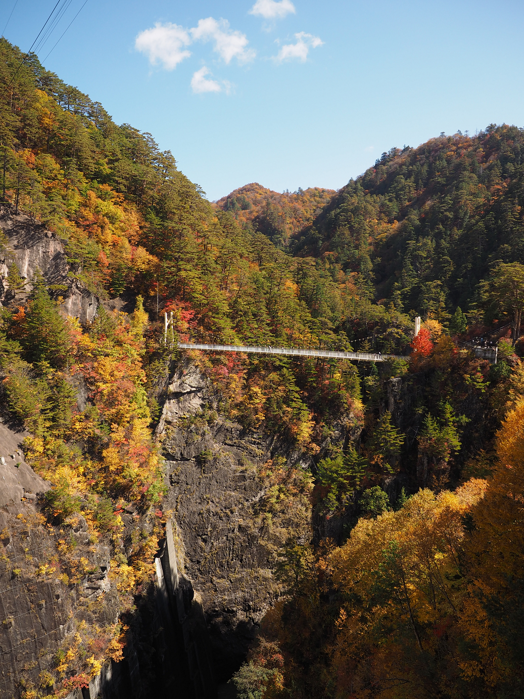 PA180391.jpg