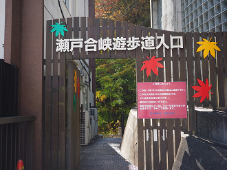 PA180394_thumb.png