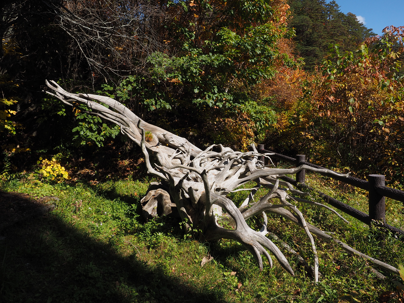PA180397.jpg