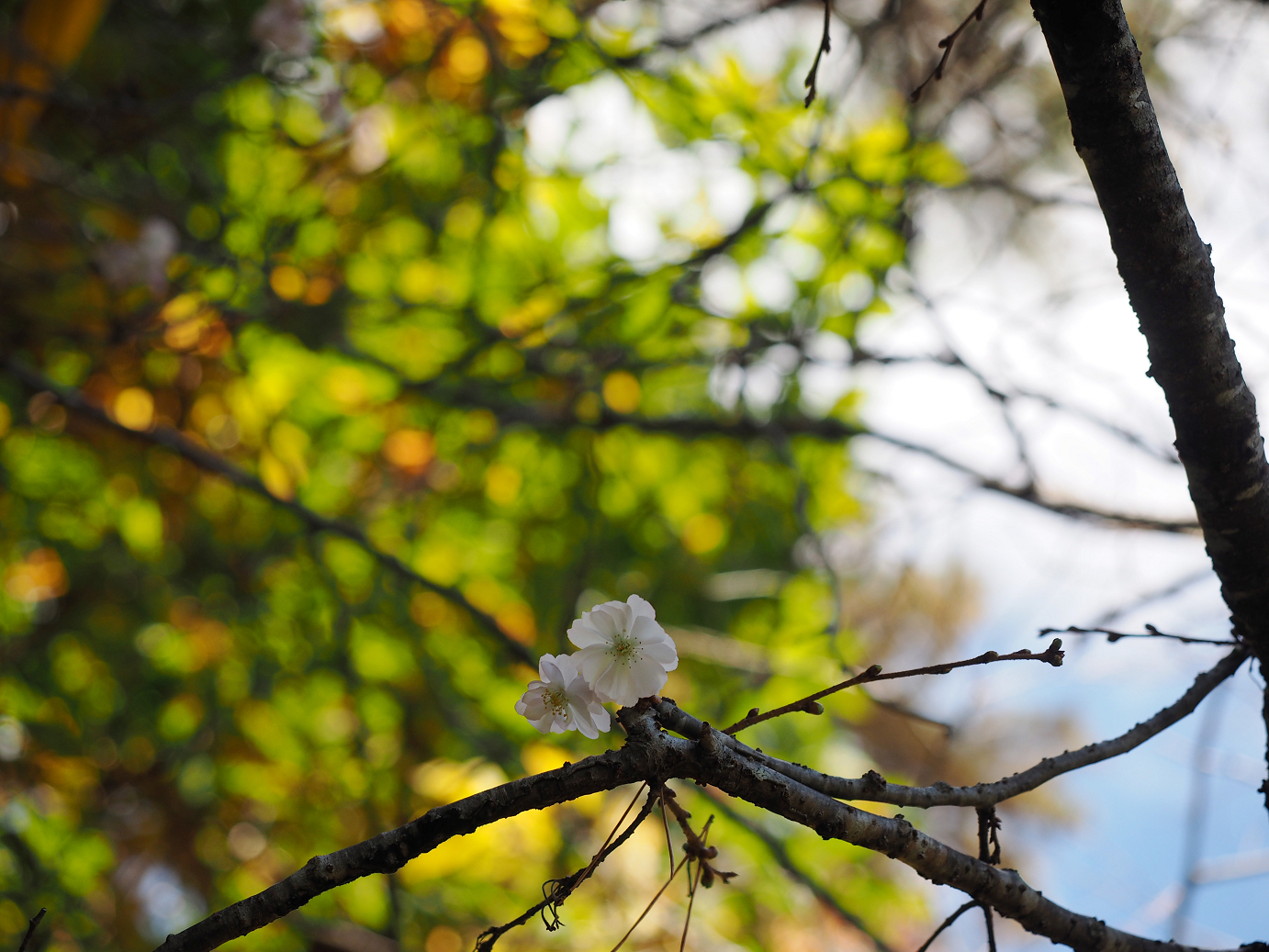 PA180398.jpg