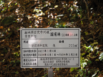 PA180409_thumb.png