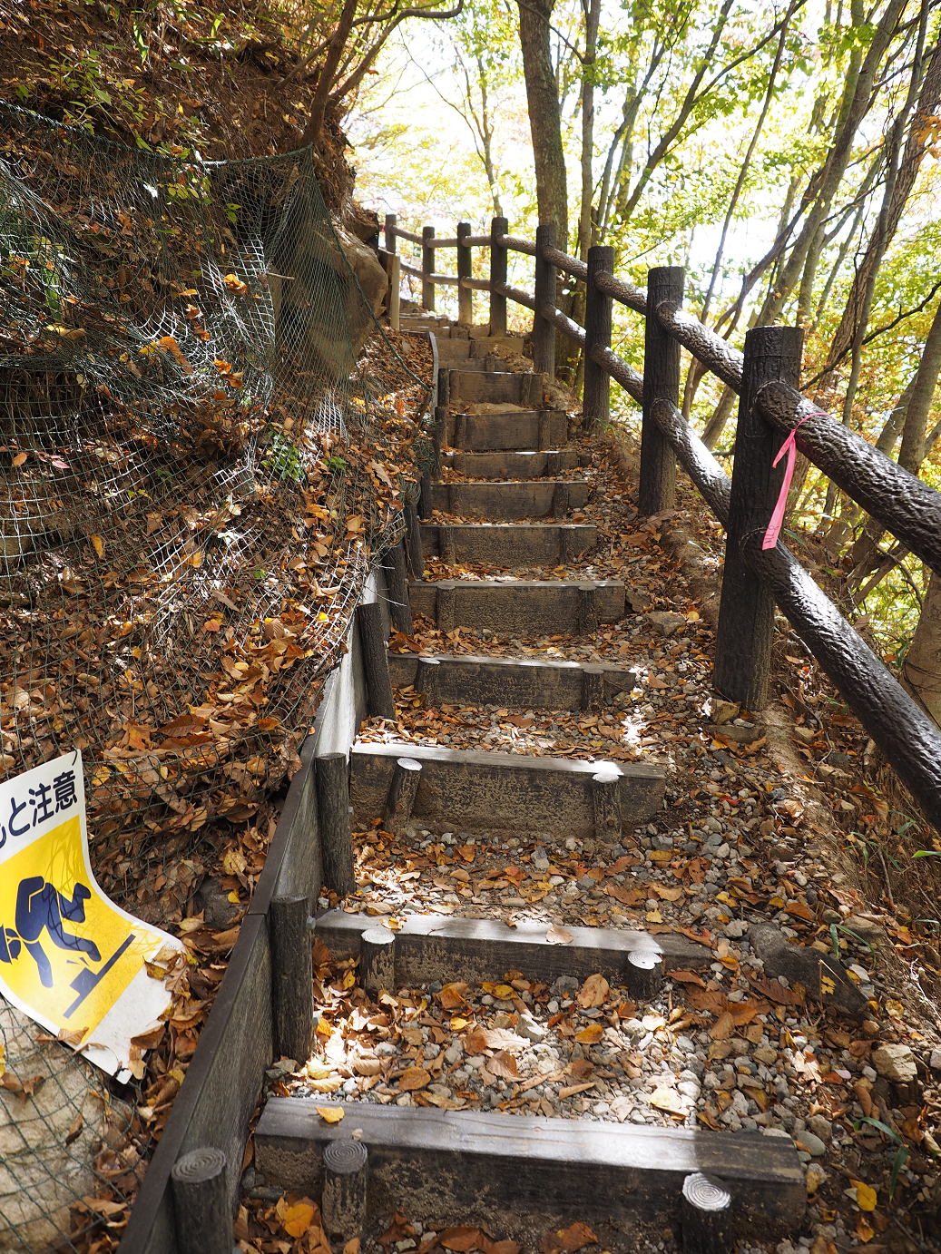 PA180415.jpg