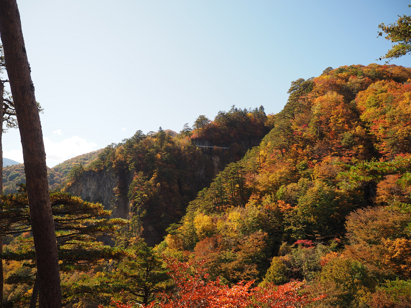 PA180420.jpg
