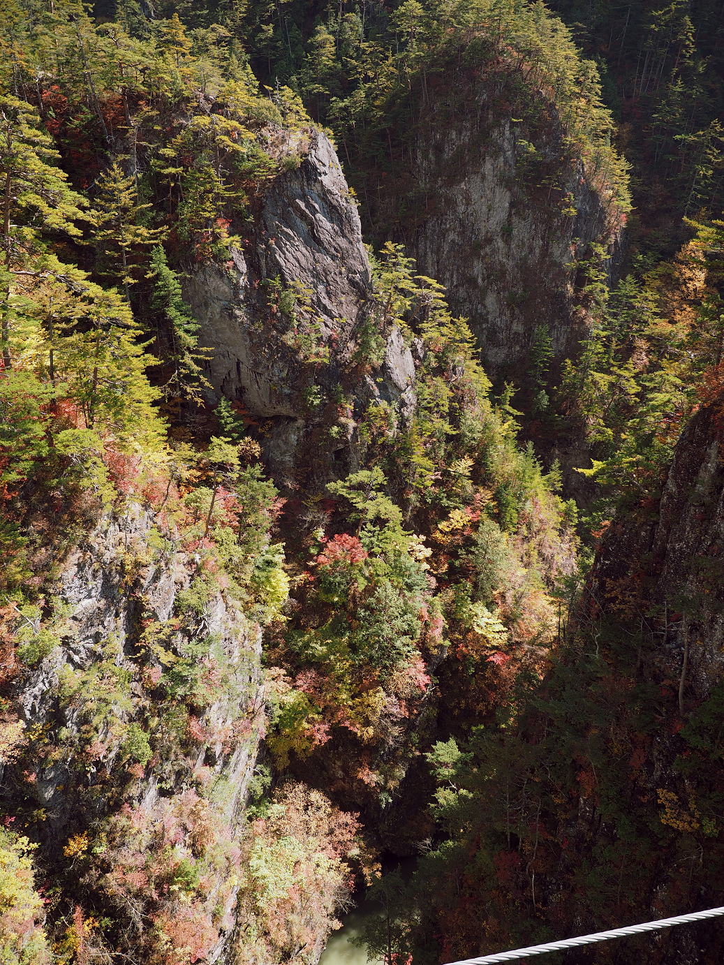 PA180421.jpg