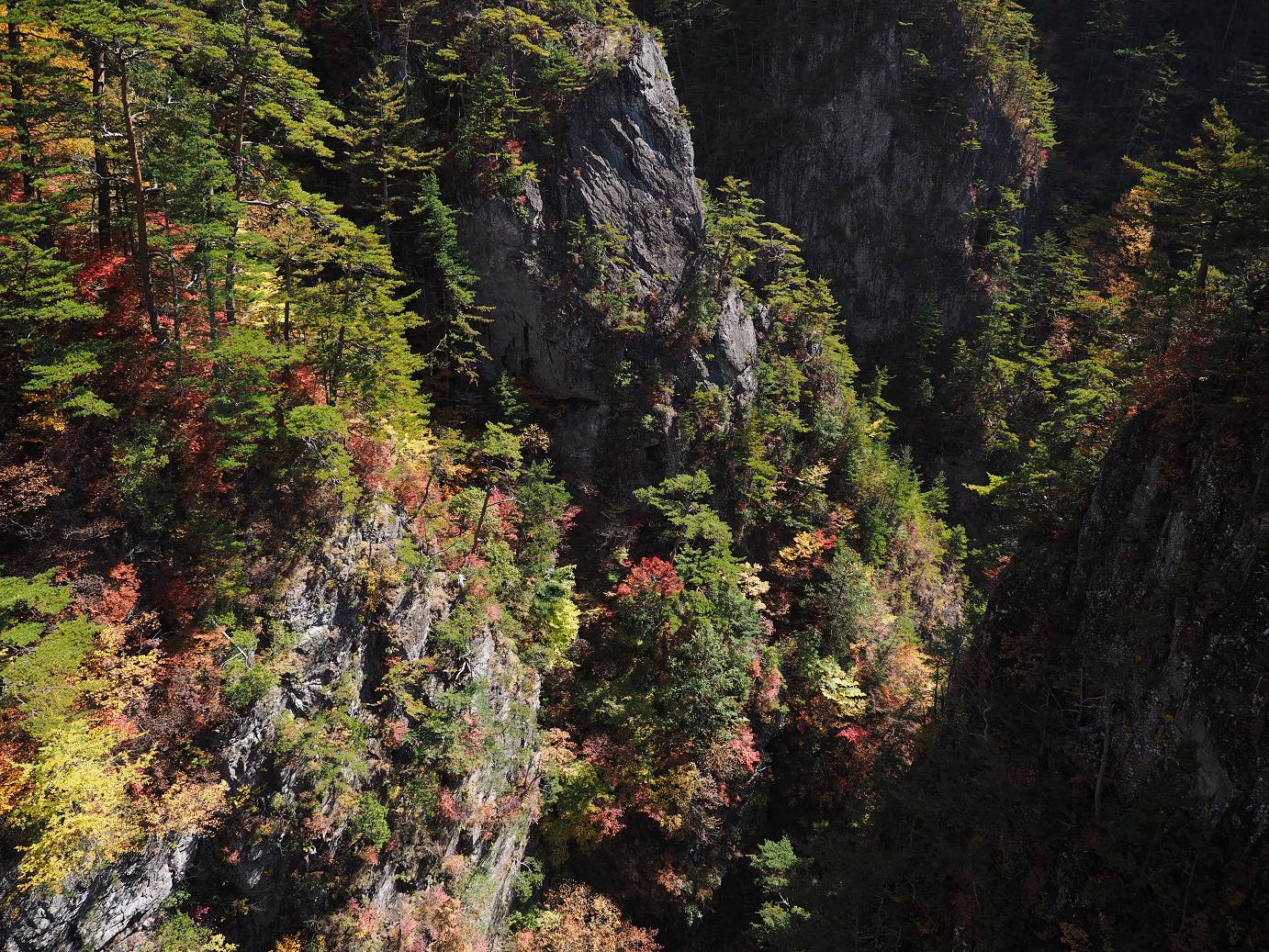PA180422.jpg