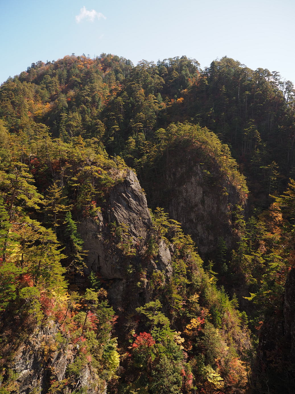 PA180424.jpg