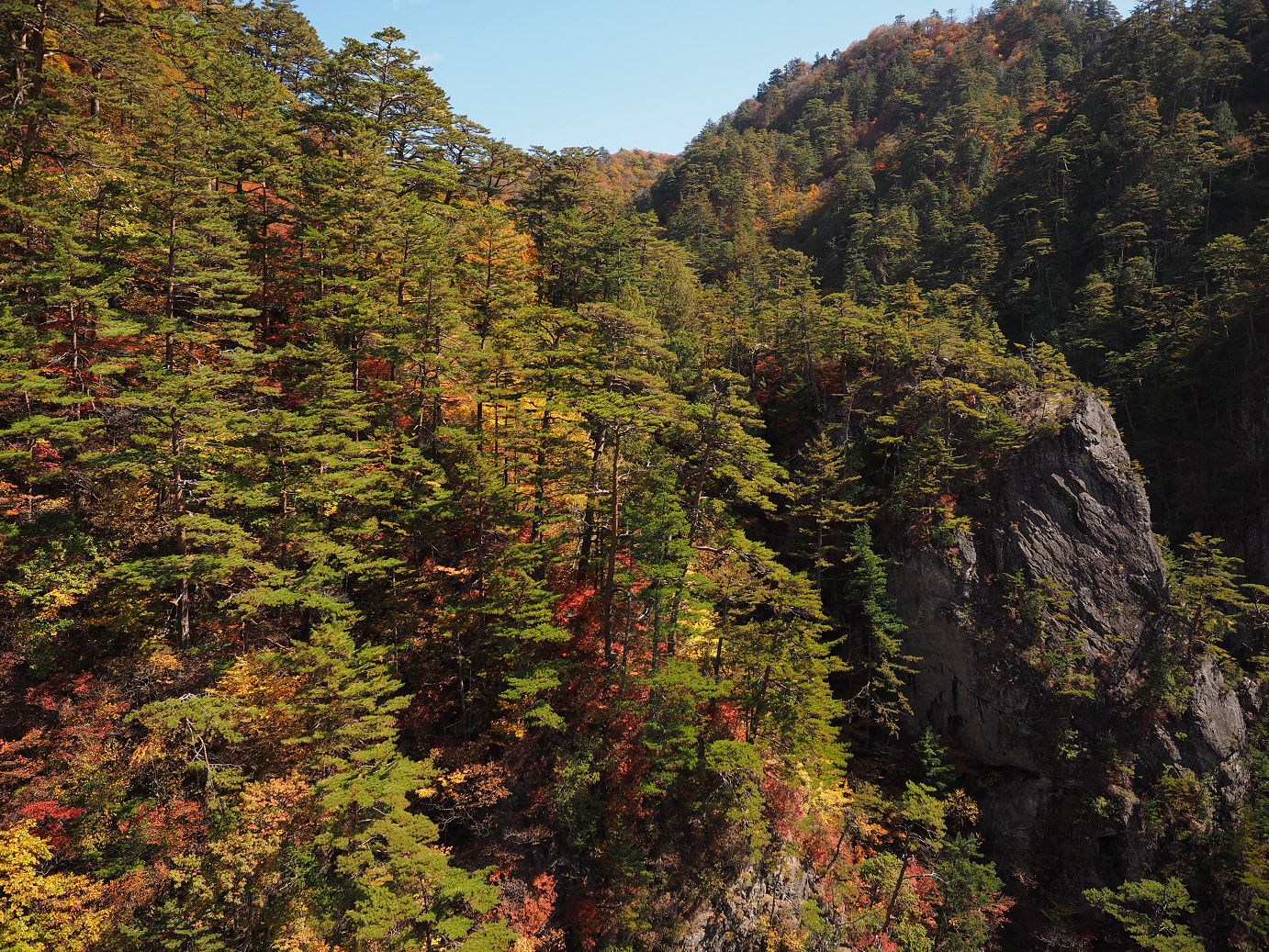 PA180426.jpg