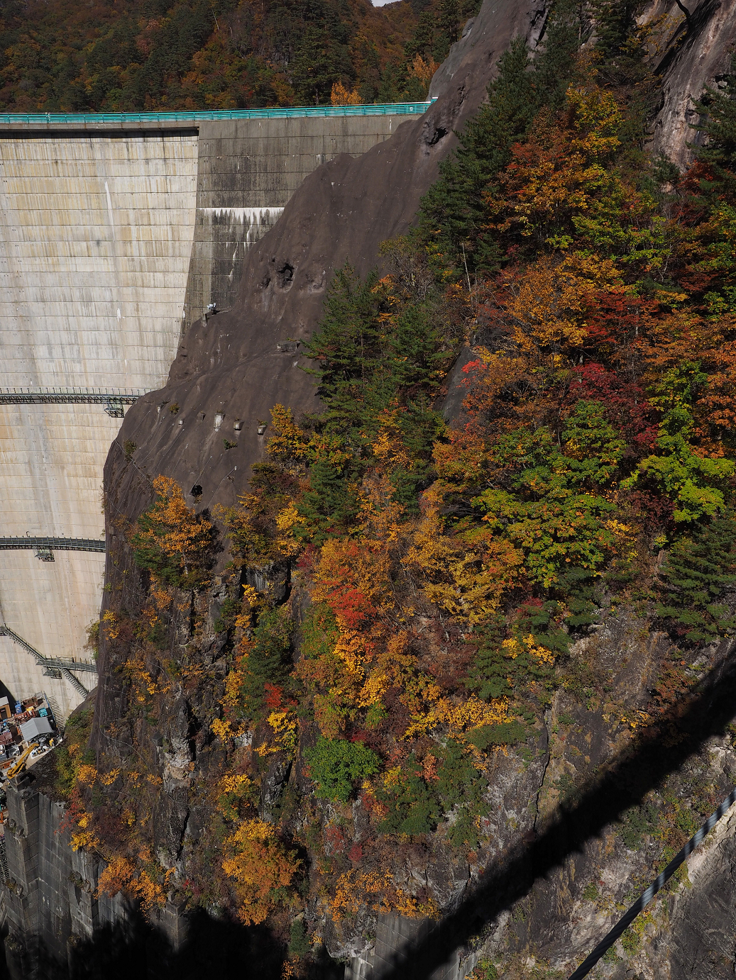 PA180443.jpg