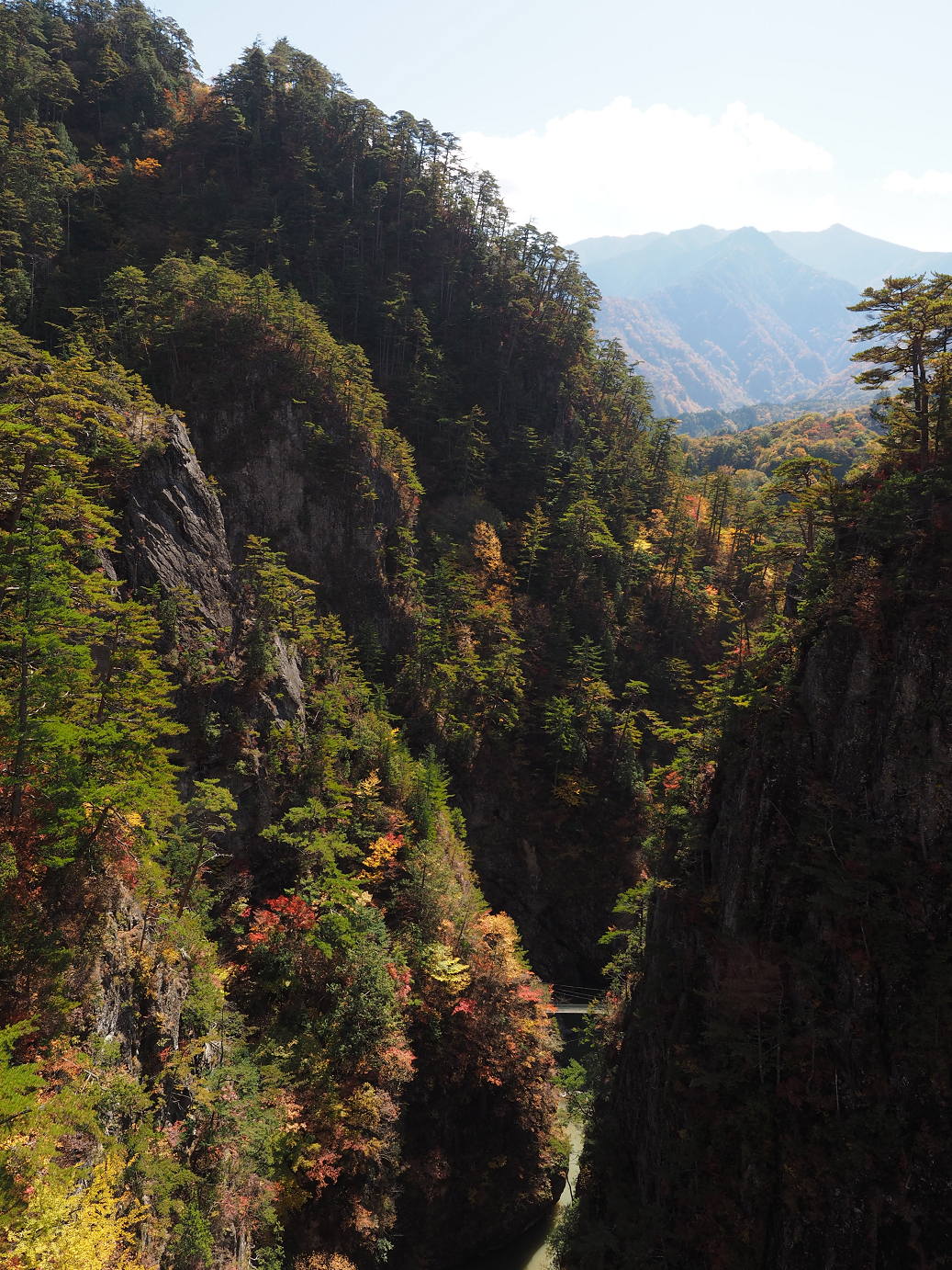PA180448.jpg
