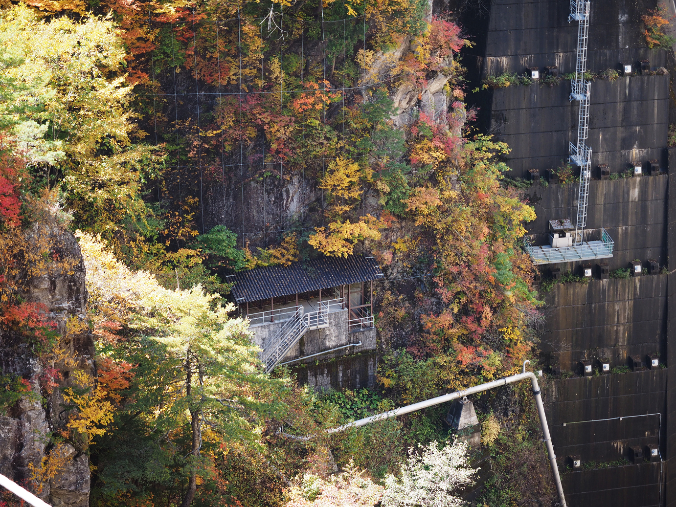 PA180458.jpg