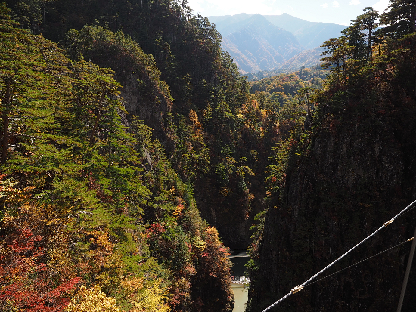PA180461.jpg