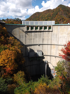 PA180485_thumb.png