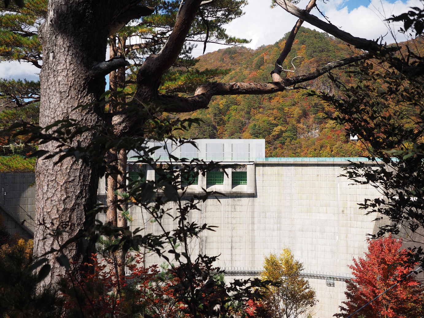 PA180494.jpg