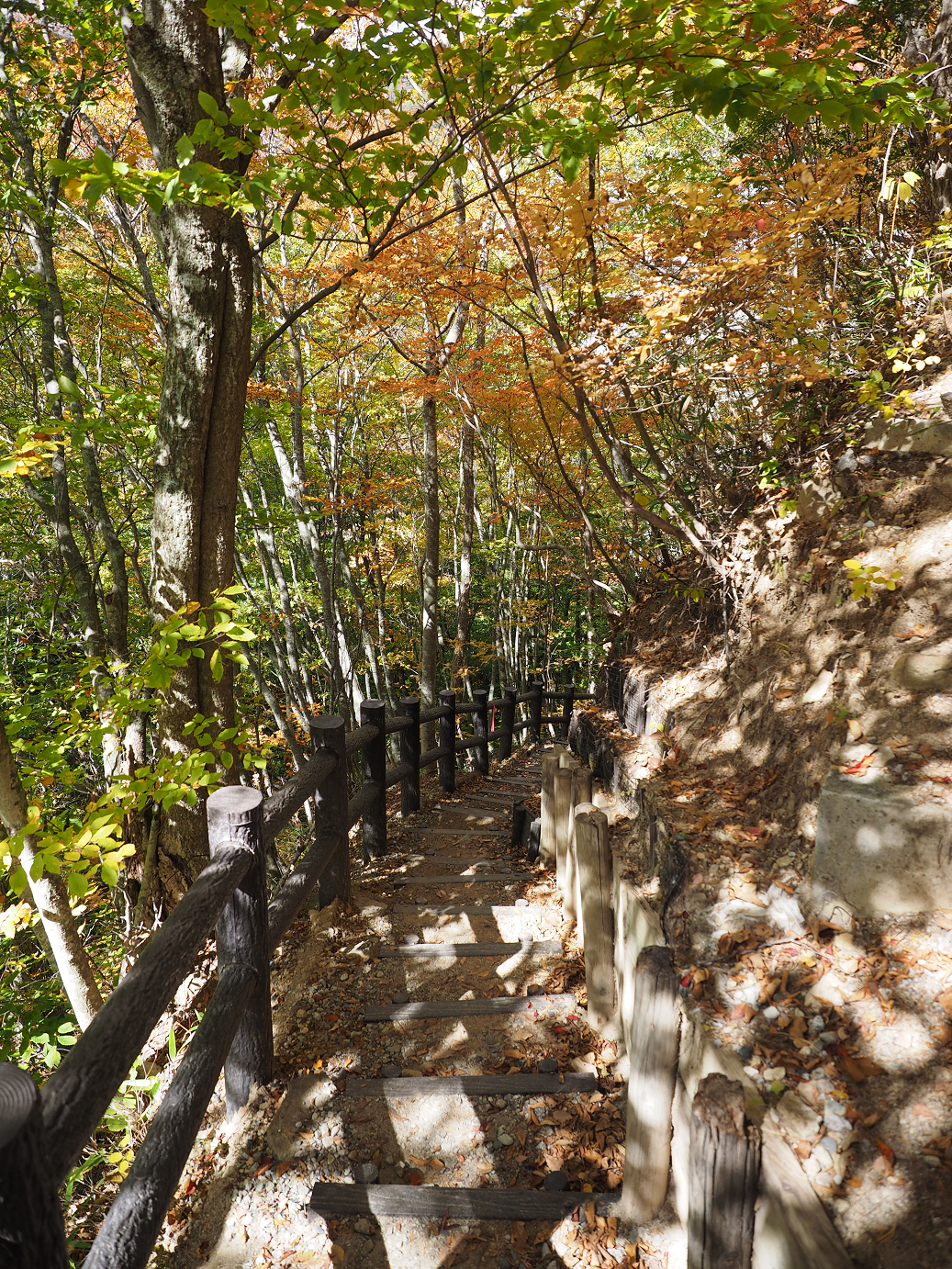 PA180501.jpg
