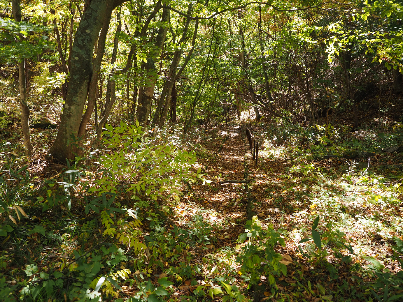PA180505.jpg