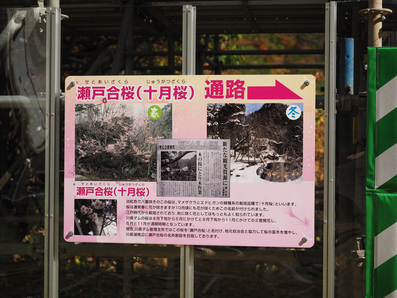PA180506.jpg