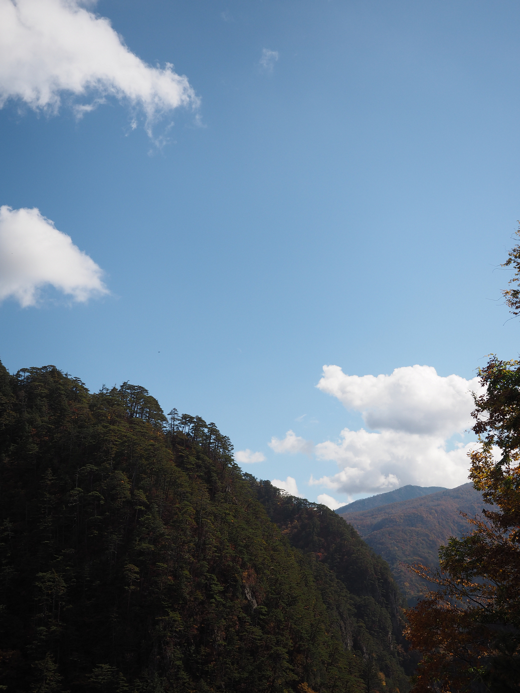 PA180517.jpg