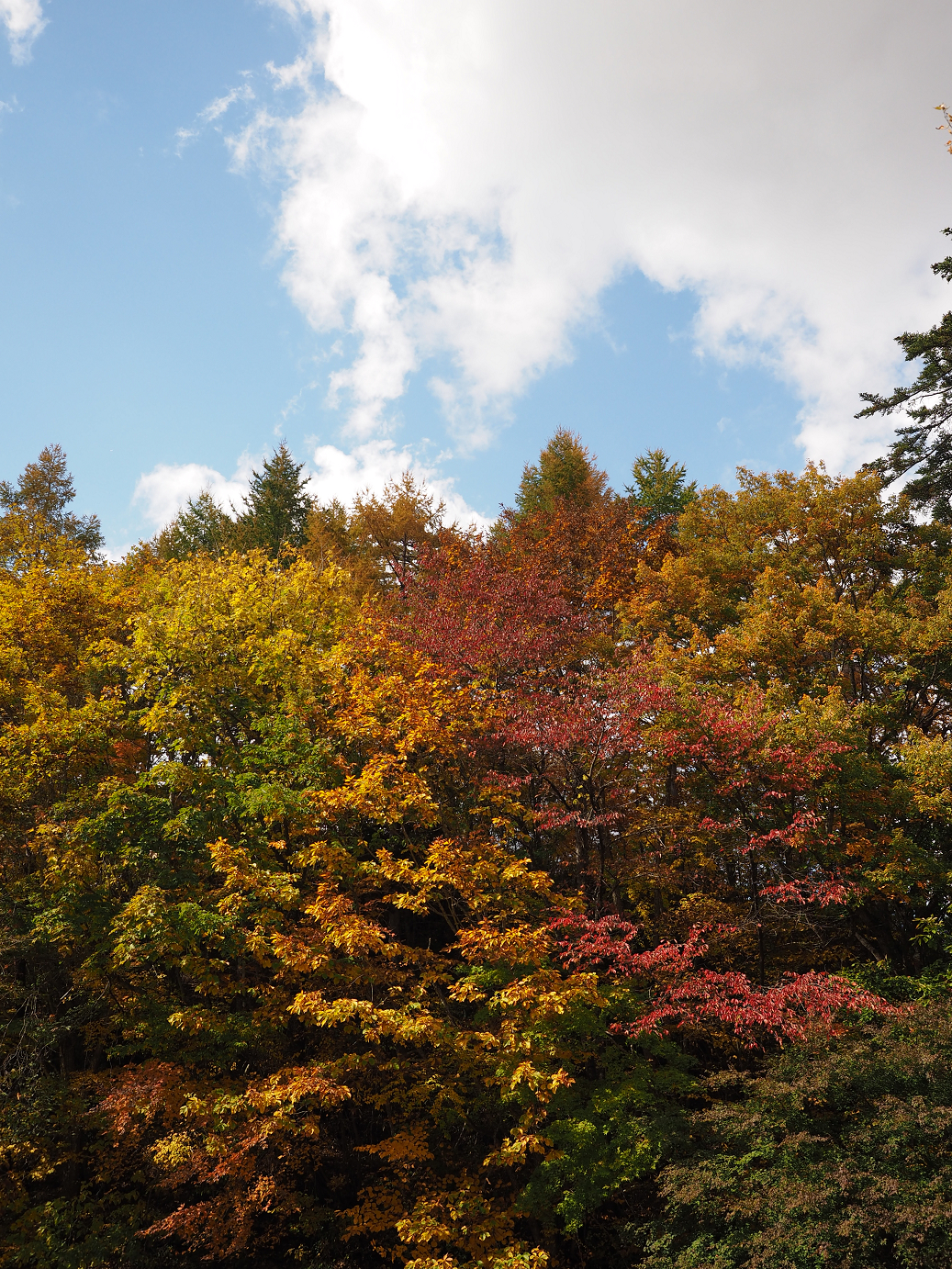 PA180525.jpg