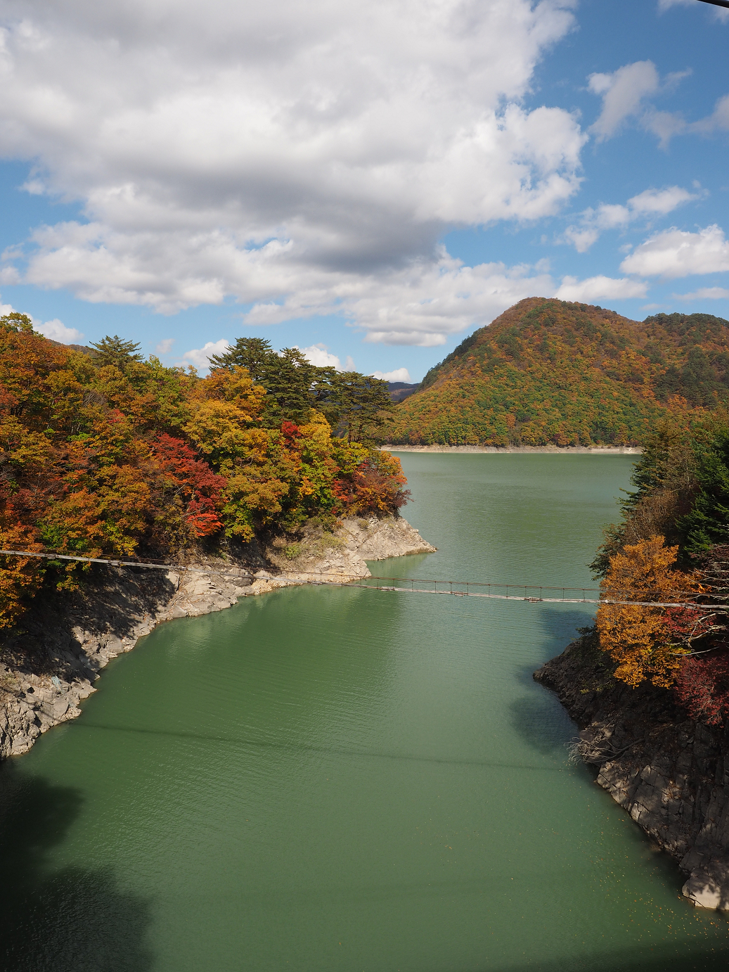 PA180537.jpg