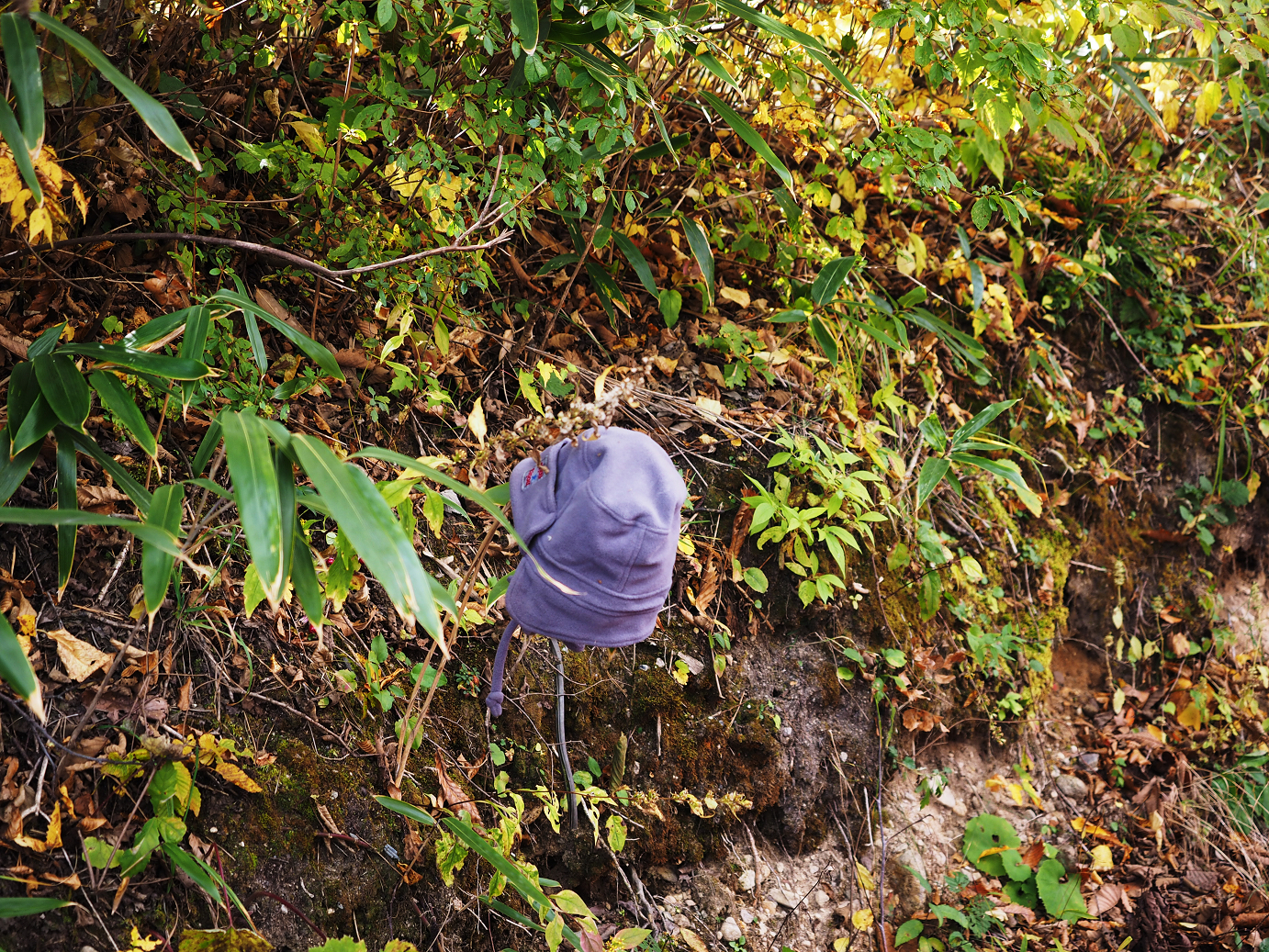 PA180548.jpg