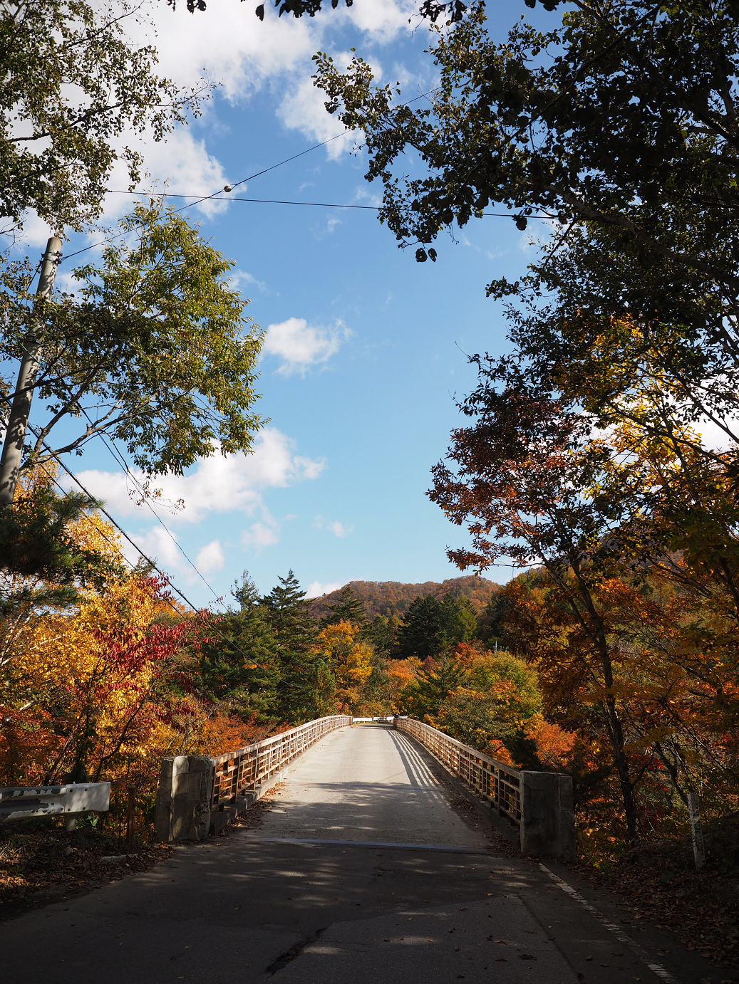 PA180550.jpg