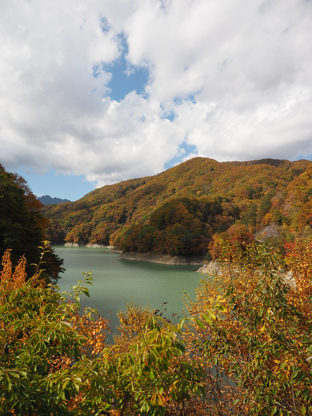 PA180556.jpg
