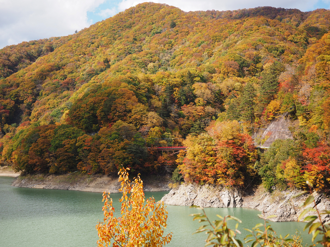 PA180557.jpg