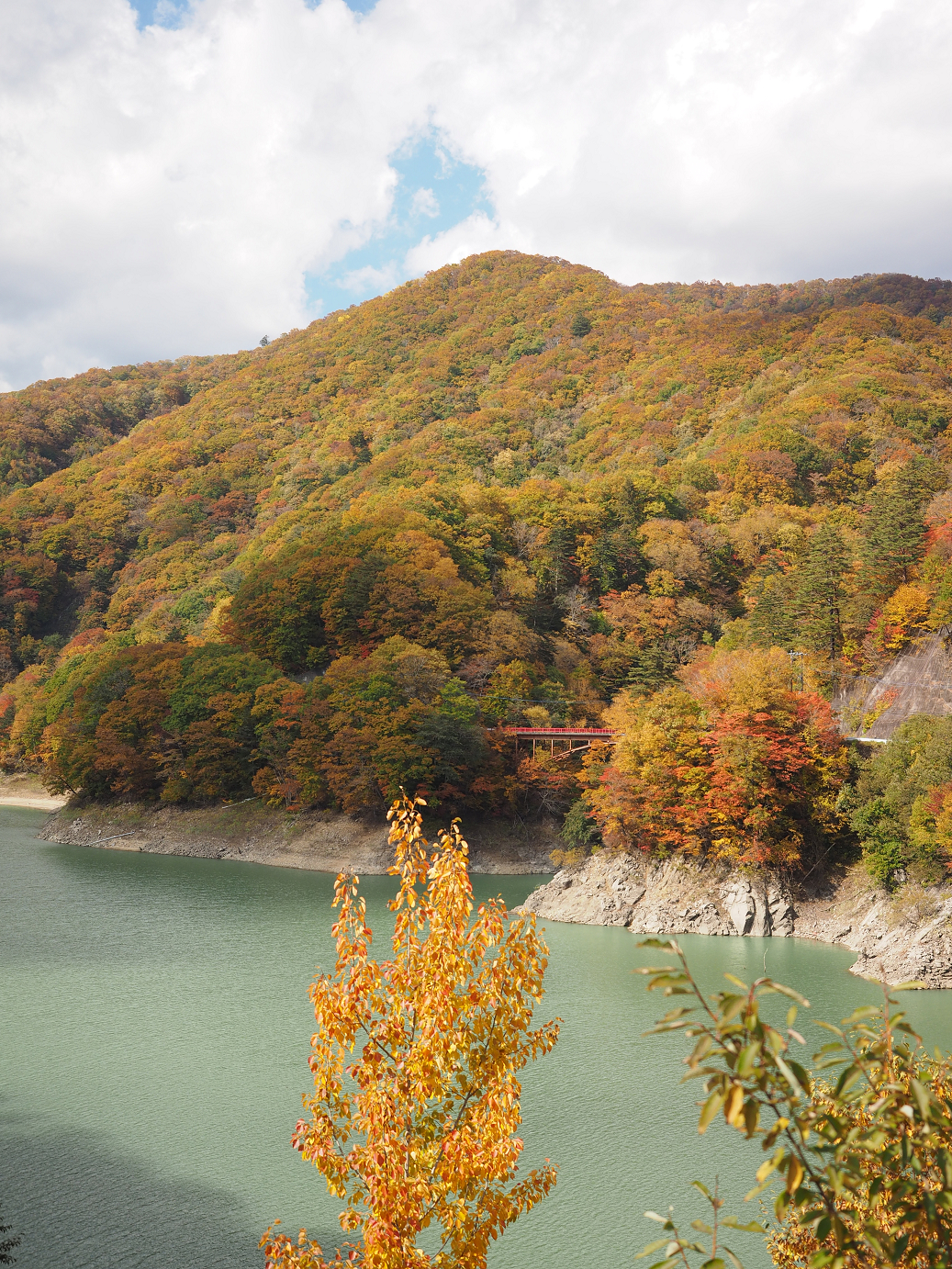 PA180559.jpg
