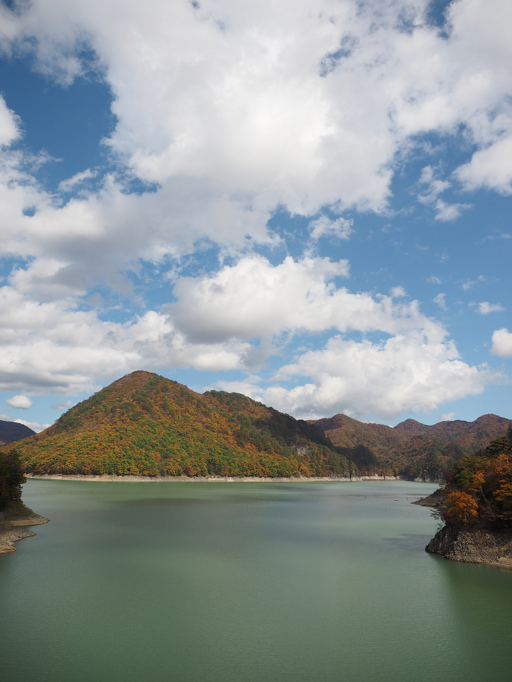 PA180562.jpg